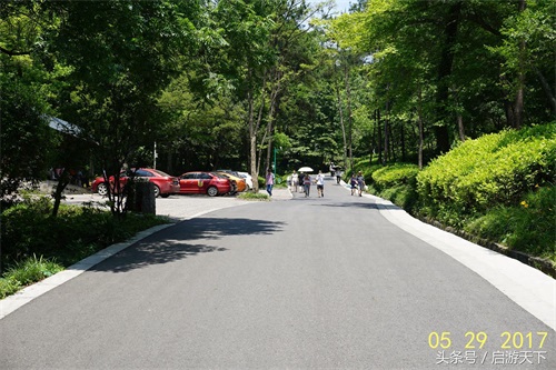 南京:老山森林公园