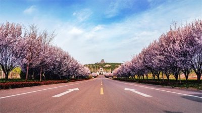 ​简述现代旅游业的发展趋势——未来旅游热点分析