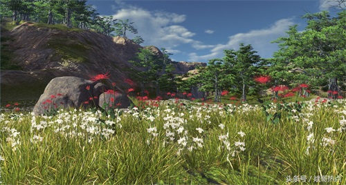 天刀航海大地图——美景