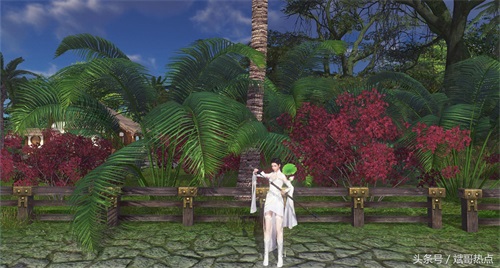 天刀航海大地图——美景