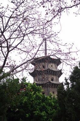 泉州老建筑东西塔