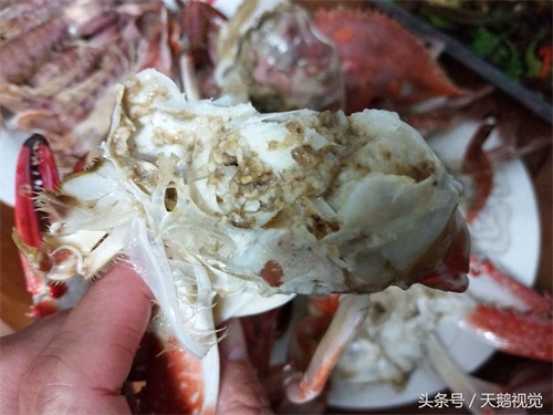 超市特价皮皮虾螃蟹10元1斤,贪便宜买回发现一肥一瘦,值不值?