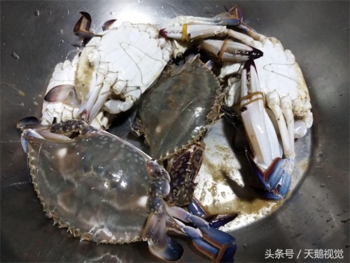 超市特价皮皮虾螃蟹10元1斤,贪便宜买回发现一肥一瘦,值不值?