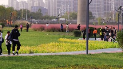 ​西安最近又发现一个网红打卡地灞桥生态湿地公园你去过了吗？