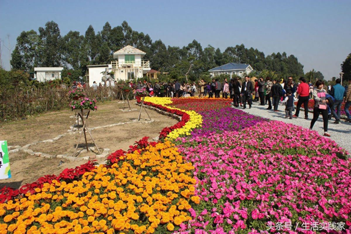 佛山市最著名的新八大景，看看你去过几个？