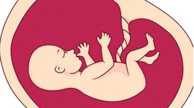 ​孕妇胎盘前壁和后壁啥区别，你清楚了吗？