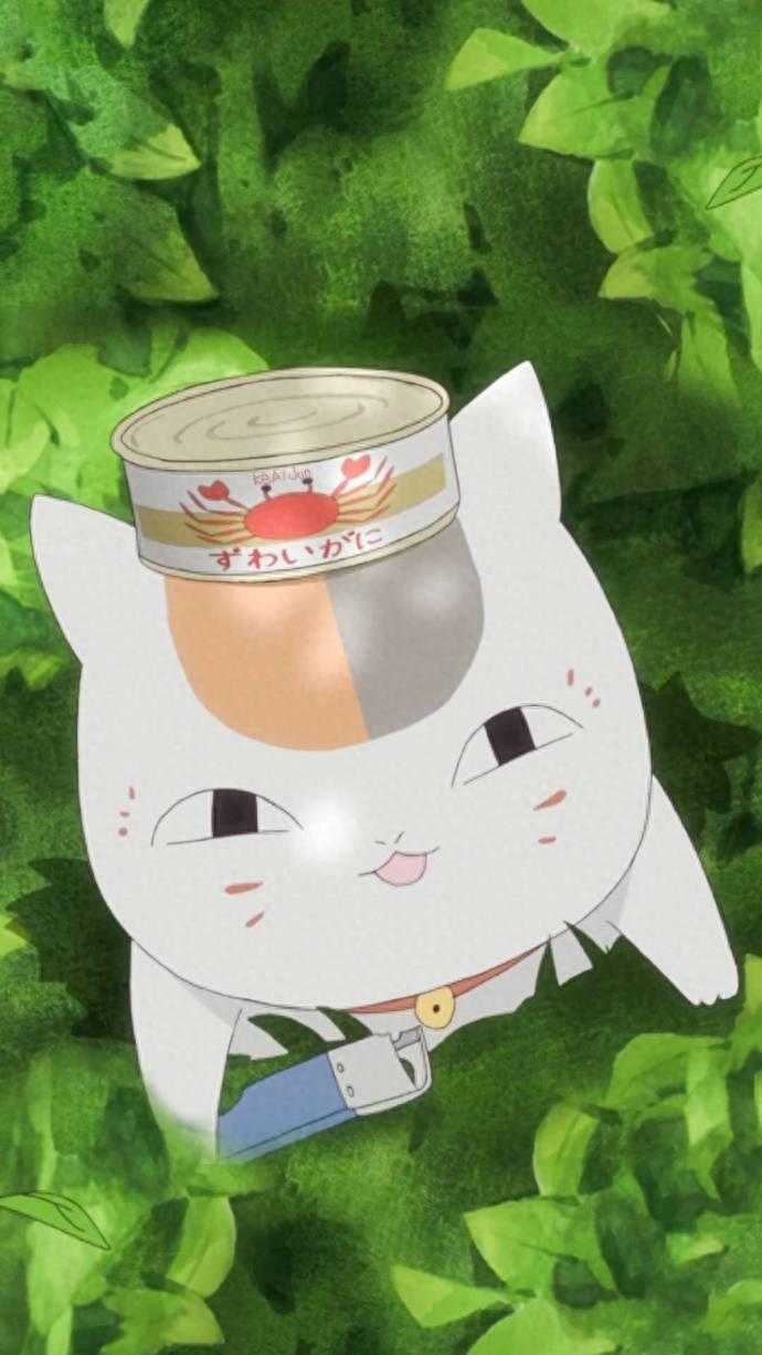 一组猫咪老师壁纸~夏目友人帐