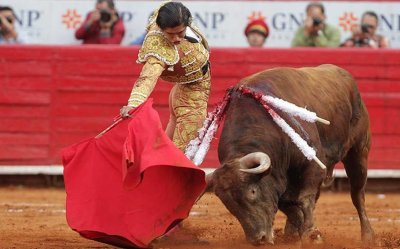 ​欧洲最危险的传统运动，聊聊西班牙的“国技”斗牛