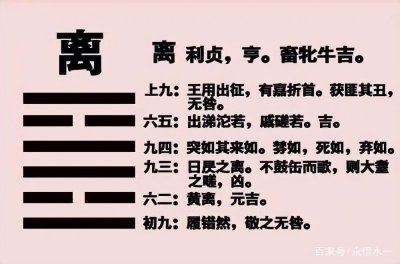 ​《周易本义》之离卦