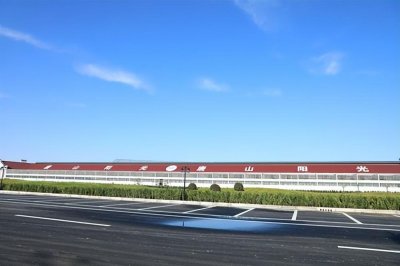 ​唐山阳光国际赛鸽公棚(小棚)—河北黄金赛线，赛鸽同场竞技的首选