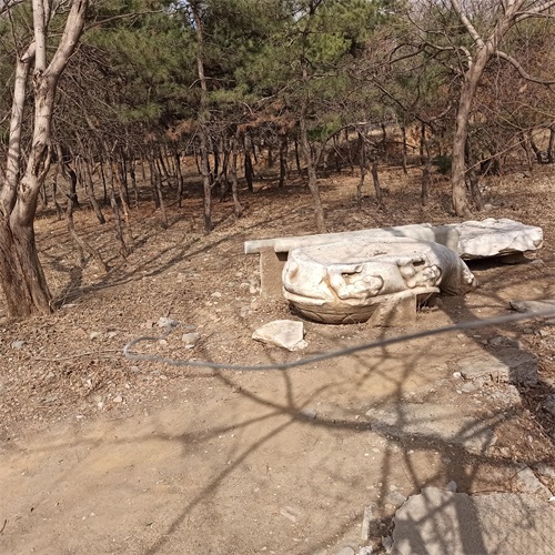 散步郊野公园,随拍老山古墓