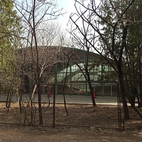 散步郊野公园,随拍老山古墓