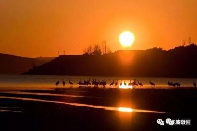 ​三门峡旅游攻略