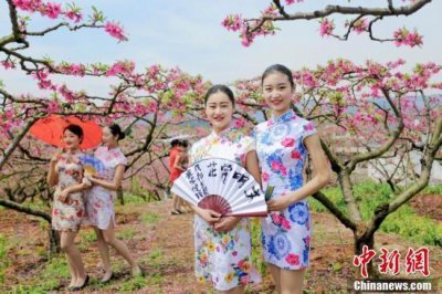 ​成都准空姐桃花园里旗袍秀 呼吁关爱大自然