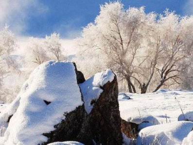 ​一只狗子“盖棉被吹暖风”，在“冻成狗”的冬天，这场景让人羡慕