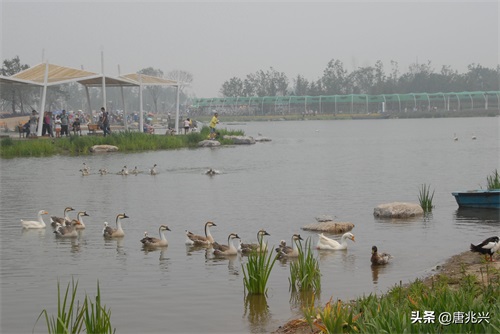 魅力辽宁 | 锦州世博园，倾听园林与大海的交响