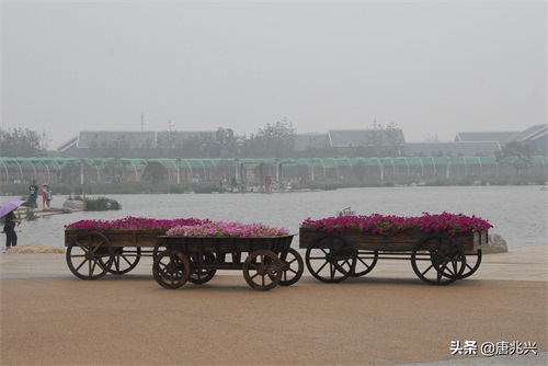 魅力辽宁 | 锦州世博园，倾听园林与大海的交响