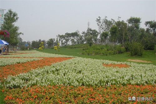 魅力辽宁 | 锦州世博园，倾听园林与大海的交响