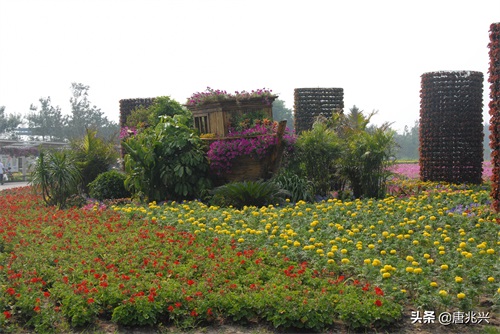 魅力辽宁 | 锦州世博园，倾听园林与大海的交响