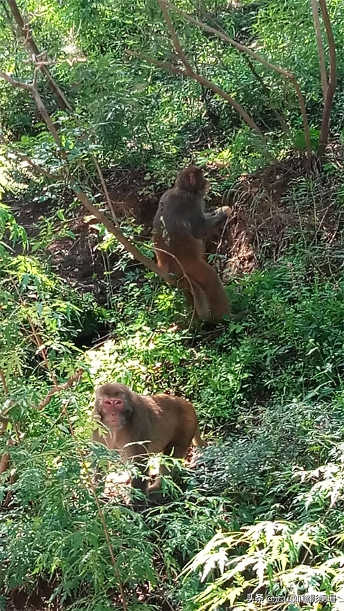 承德双塔山文旅