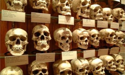 ​恐怖博物馆｜读客来稿