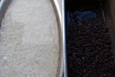 ​黑米酒制作方法-家庭酿酒技术