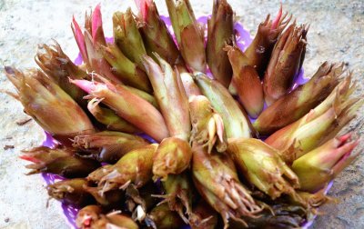 ​没有充足的阳光不要怕，这些喜阴的农作物和蔬菜，有你喜欢的吗