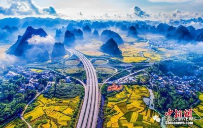 ​广西最新人事任免