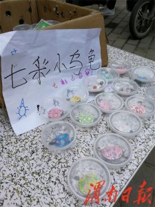 ​美颜彩龟街头热卖 市民购买须注意