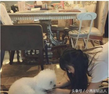 ​揭秘赵丽颖的豪宅曝光