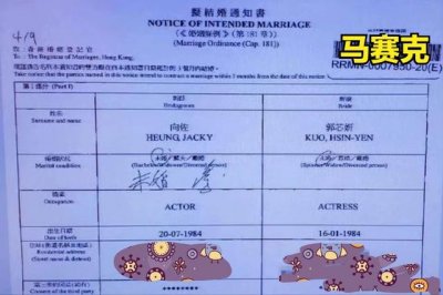 ​郭碧婷向佐最新消息(向佐和向太算盘打的太精明)