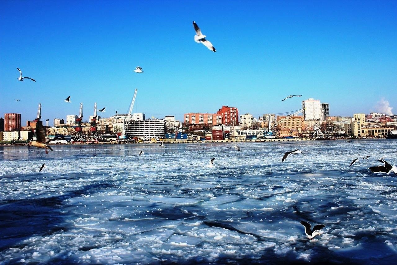 中国的军事实力在世界排第几（世界军事实力排行榜）-