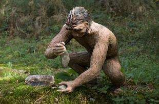 人是怎么来的(人类真正的起源是什么)