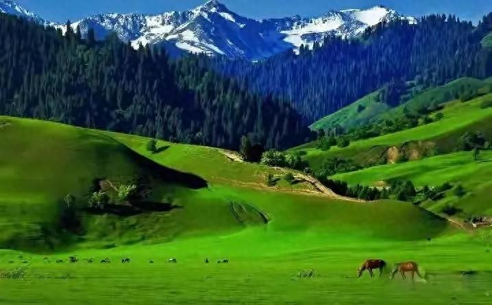 塞外江南指的是哪里的地方(为什么说伊犁河谷是塞外江南)-