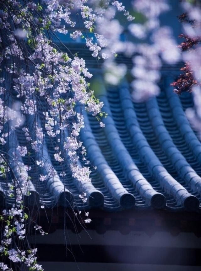 什么是佛,什么是佛经怎么理解图4