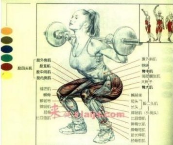 ​为什么深蹲不能天天练(一天练两次)