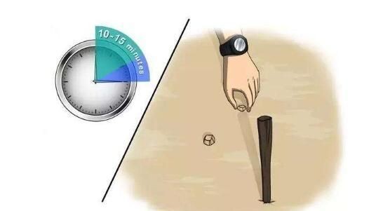 天然指南针，大自然有那些天然指南针？图5