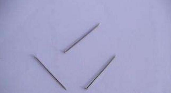 天然指南针，大自然有那些天然指南针？图8