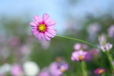 ​女人要离婚的决心（63岁女人要求离婚）