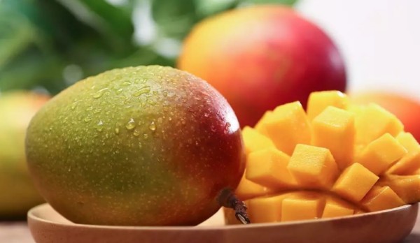 吉禄芒果硬的可以吃,四川攀枝花芒果硬的能吃吗图1