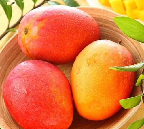 大芒果硬邦邦的怎么吃