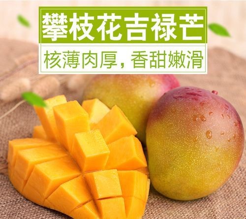 芒果能直接吃吗