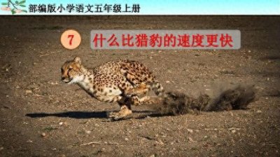 ​五年级上《什么比猎豹的速度更快》课堂笔记，学生认真学，附习题