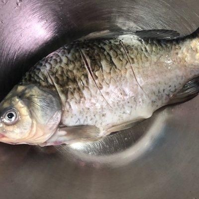 红烧鲫鱼的做法简单又好吃 红烧鲫鱼的做法大全家常菜-第1张图片-