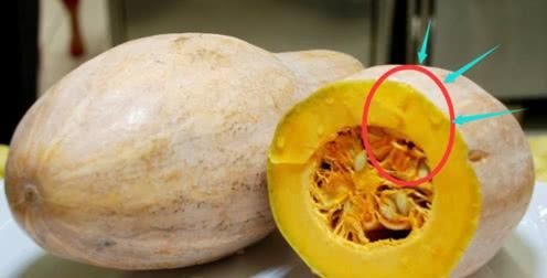 南瓜能不能生吃