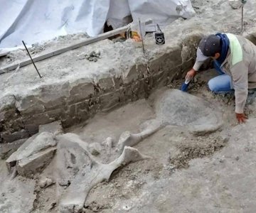 ​王光泽：忠诚坚韧，红军师长的40年失踪之谜