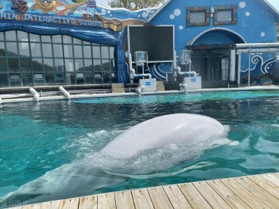 ​大连旅游景点大全，最值得打卡的22个大连旅游景点，一定要收藏！