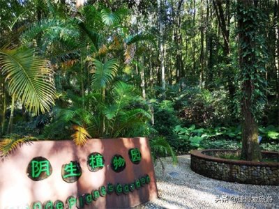 ​福建省 福州市 福州国家森林公园 全国十大森林公园之一