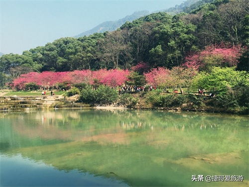 福建省 福州市 福州国家森林公园 全国十大森林公园之一