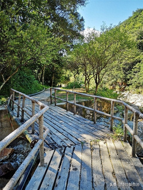 福建省 福州市 福州国家森林公园 全国十大森林公园之一